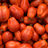 Tomate italienne 100g